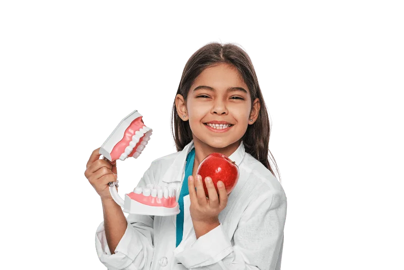 How-Many-Teeth-Do-Children-Have