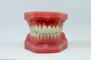 dental acrylic